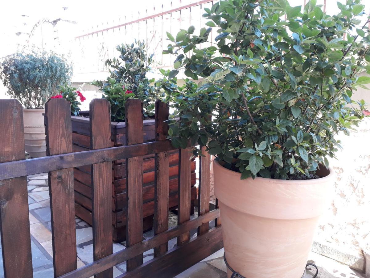 Olympus Vacation Paradise Apartment Литокорон Екстериор снимка